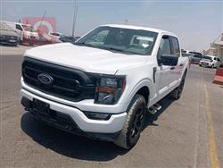 فورد إف-150